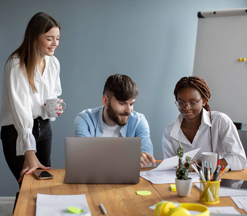 Custom Web Application by DesignMyCode